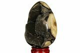 Septarian Dragon Egg Geode - Black Crystals #157878-2